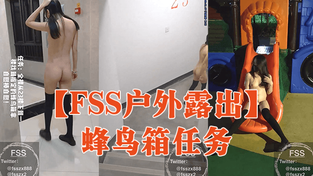 FSS户外露出蜂鸟箱任务